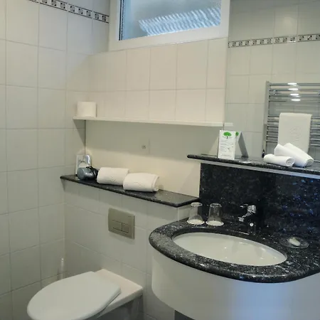Hotel Bellavista Gambarogno
